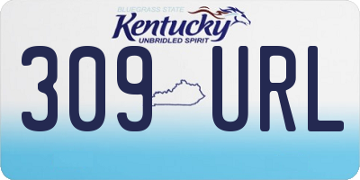 KY license plate 309URL