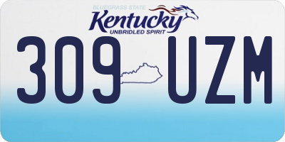 KY license plate 309UZM