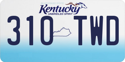 KY license plate 310TWD