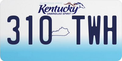 KY license plate 310TWH