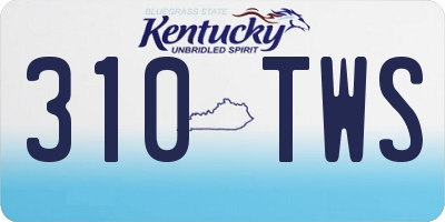 KY license plate 310TWS