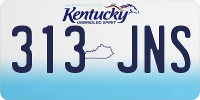 KY license plate 313JNS