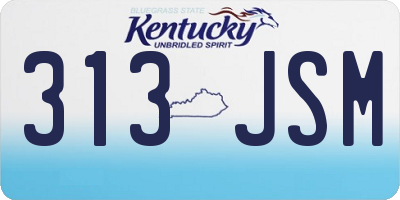 KY license plate 313JSM