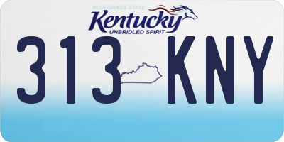 KY license plate 313KNY