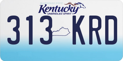 KY license plate 313KRD