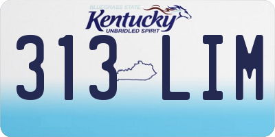 KY license plate 313LIM