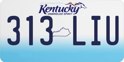 KY license plate 313LIU