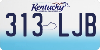 KY license plate 313LJB