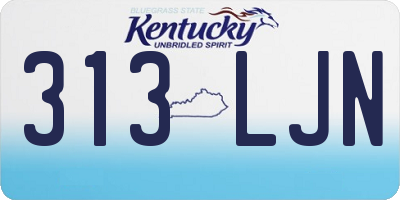 KY license plate 313LJN