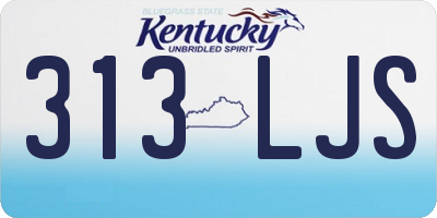 KY license plate 313LJS