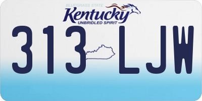 KY license plate 313LJW