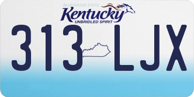 KY license plate 313LJX