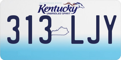 KY license plate 313LJY