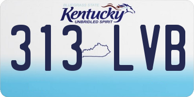 KY license plate 313LVB