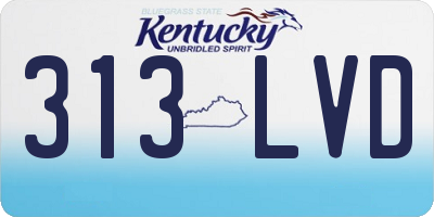 KY license plate 313LVD
