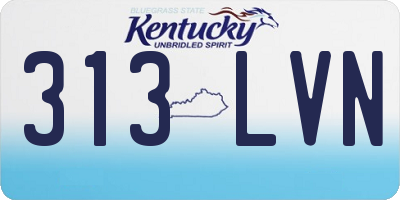 KY license plate 313LVN