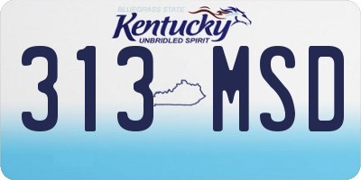 KY license plate 313MSD