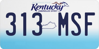 KY license plate 313MSF