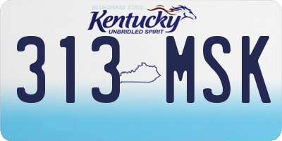 KY license plate 313MSK