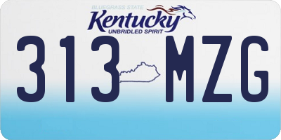 KY license plate 313MZG