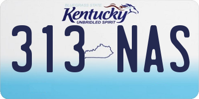KY license plate 313NAS