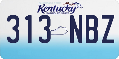 KY license plate 313NBZ