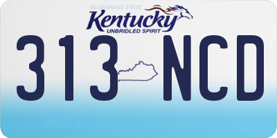 KY license plate 313NCD