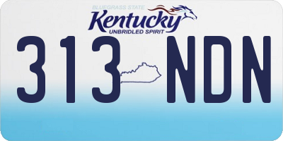 KY license plate 313NDN