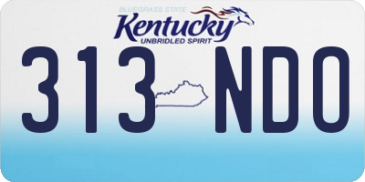 KY license plate 313NDO