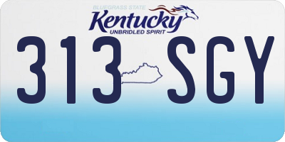 KY license plate 313SGY