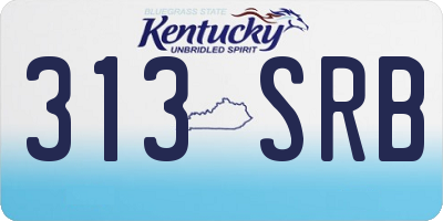 KY license plate 313SRB