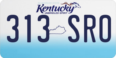 KY license plate 313SRO