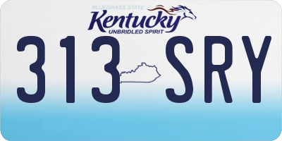 KY license plate 313SRY
