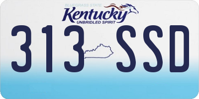 KY license plate 313SSD