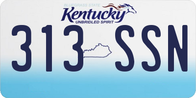 KY license plate 313SSN
