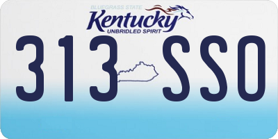 KY license plate 313SSO