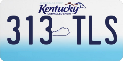 KY license plate 313TLS