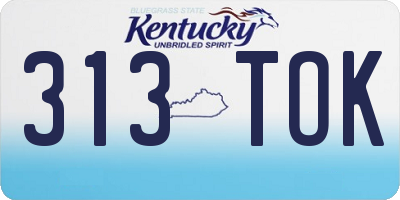 KY license plate 313TOK
