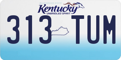 KY license plate 313TUM