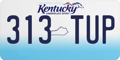 KY license plate 313TUP