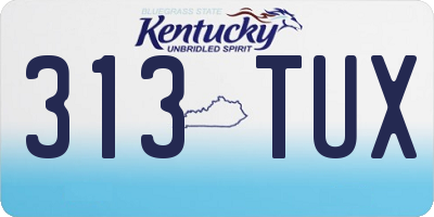 KY license plate 313TUX