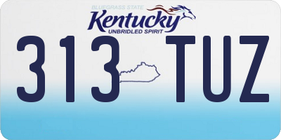 KY license plate 313TUZ