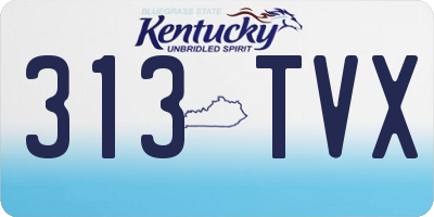KY license plate 313TVX