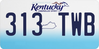 KY license plate 313TWB