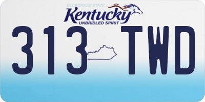 KY license plate 313TWD