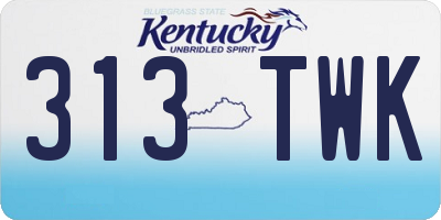 KY license plate 313TWK