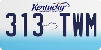 KY license plate 313TWM