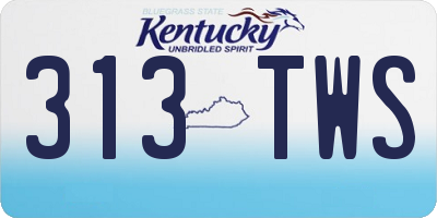 KY license plate 313TWS