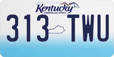 KY license plate 313TWU