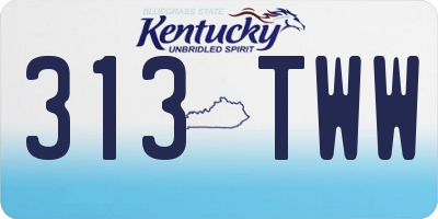 KY license plate 313TWW